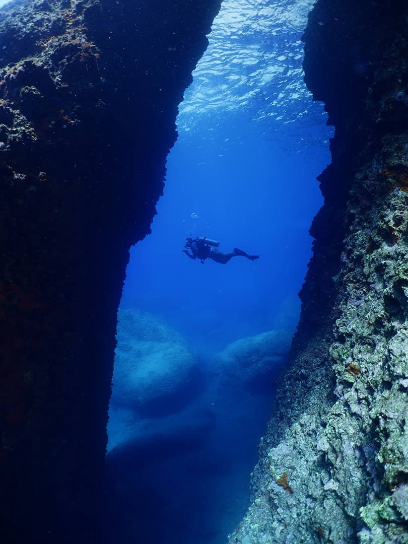 Mediterranean dive