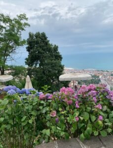 European Istanbul Gardens & Parks​