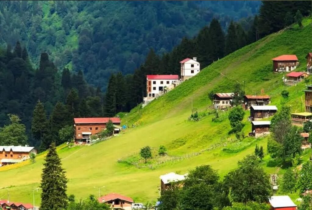 Ayder Plateau
