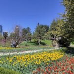 European Istanbul Gardens & Parks​