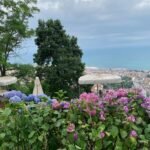 European Istanbul Gardens & Parks​